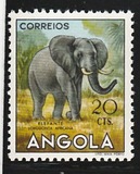 [Angolan Fauna, タイプ DC]