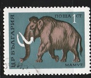 [Prehistoric Animals, type BTI]