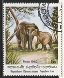 [Indian Elephant, τύπος TH]