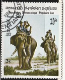 [Indian Elephant, τύπος TF]