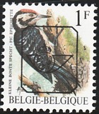 [Birds, type BNH]