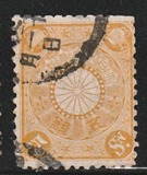 [Chrysanthemum, type AJ5]
