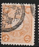 [Chrysanthemum, type AJ5]