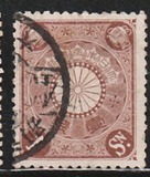 [Chrysanthemum, type AJ1]