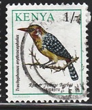 [Birds, type VB]
