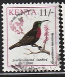 [Birds, type VI]