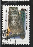 [Owls, タイプ HKB]