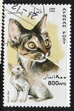 [Cats, type ANA]