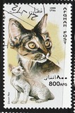 [Cats, type ANA]
