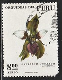 [Airmail - Peruvian Flora - Orchids, type WS]