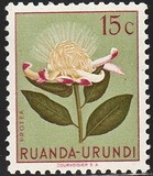 [Indigenous Flora, típus AX]