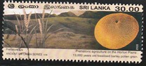 [Ancient Sri lanka, Tüüp ANK]