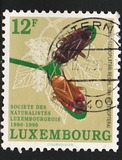 [The 100th Anniversary of the Luxembourg Naturalists Society, 类型 AHT]