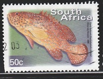 [Fauna and Flora - Fish, Tip ASN]