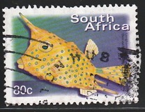 [Fauna and Flora - Fish, Tip ASQ]
