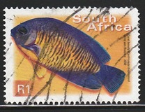 [Fauna and Flora - Fish, Tip ASS]