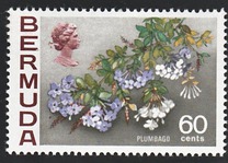 [Flowers, type EP]