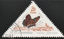 [Butterflies & Moths, тып BTH]