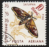 [Butterflies & Moths, тып BTG]