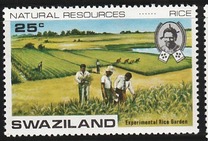 [Natural Products, प्रकार DC]