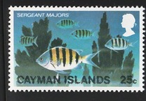 [Underwater Sports, typ JK]