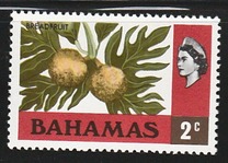 [Local Motives & Queen Elizabeth, Typ FI]