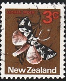 [Local Motifs, tyyppi SB]