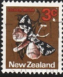 [Local Motifs, tyyppi SB]
