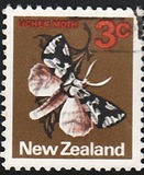[Local Motifs, tyyppi SB]