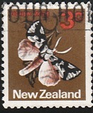 [Local Motifs, tyyppi SB]