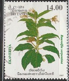 [Medicinal Herbs, loại AAC]