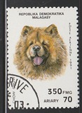 [Dogs, Вид AQB]