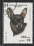 [Dogs, Вид AQA]