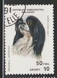 [Dogs, Вид APZ]