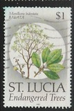 [Endangered Trees, type ACC]