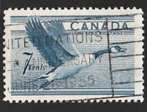 [Birds - Canada Goose, type GD]