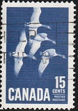 [Canada Geese, タイプ JI]