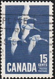 [Canada Geese, タイプ JI]