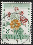 [Gent Flower Festival, type XS]