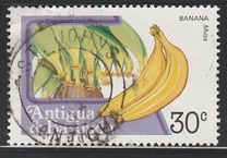 [Fruits and Flowers, type CC]
