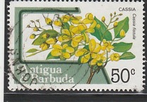[Fruits and Flowers, type CF]