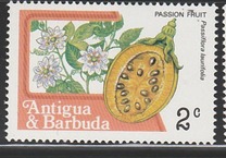 [Fruits and Flowers, type BV]