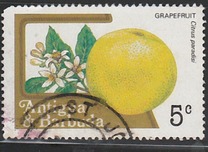 [Fruits and Flowers, type BX]