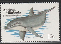 [Marine Mammals, Typ BP]