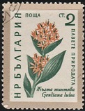 [Flowers, type AJU]