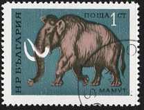 [Prehistoric Animals, tip BTI]