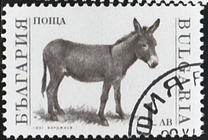 [Domestic Animals, Tipo EMB]