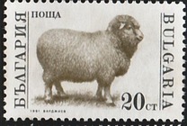 [Domestic Animals, Tipo ELX]
