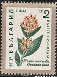 [Flowers, type AJU]