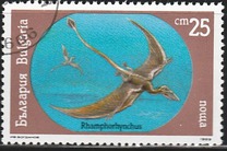 [Prehistoric Animals, Tip EIV]